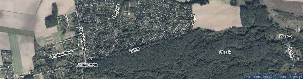 Zdjęcie satelitarne Modrzewiowa ul.